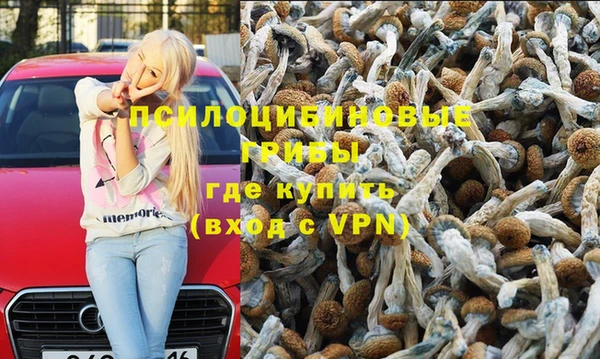2c-b Богданович