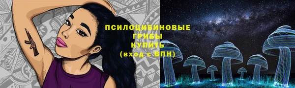 2c-b Богданович