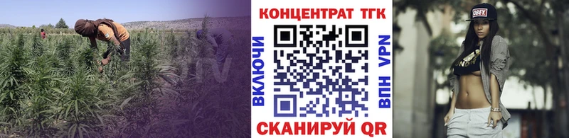 ТГК концентрат  где найти   гидра как зайти  Балашов 