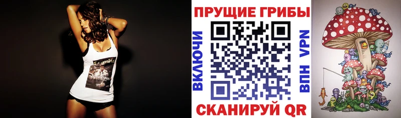 где купить наркотик  blacksprut онион  Псилоцибиновые грибы GOLDEN TEACHER  Балашов 